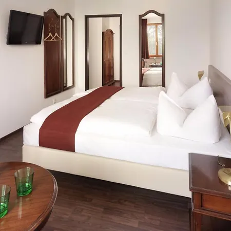 酒店 马克奥雷尔酒店 帕托内尔