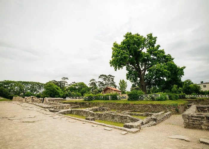 Marc Aurel Petronell